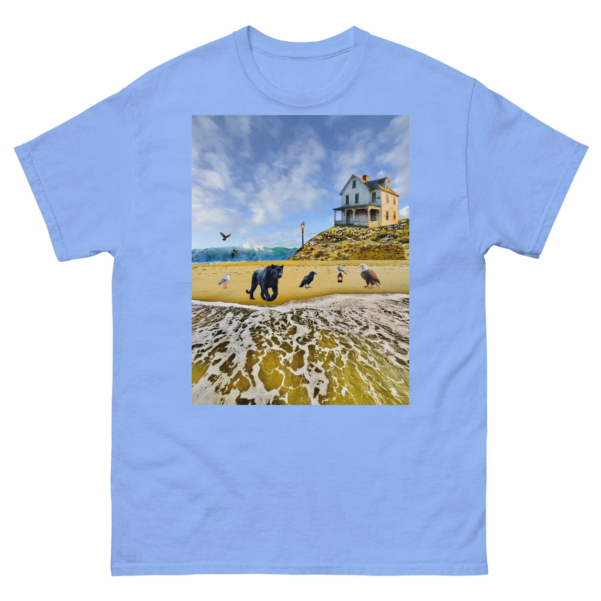 Seaside house with dog and birds on beach