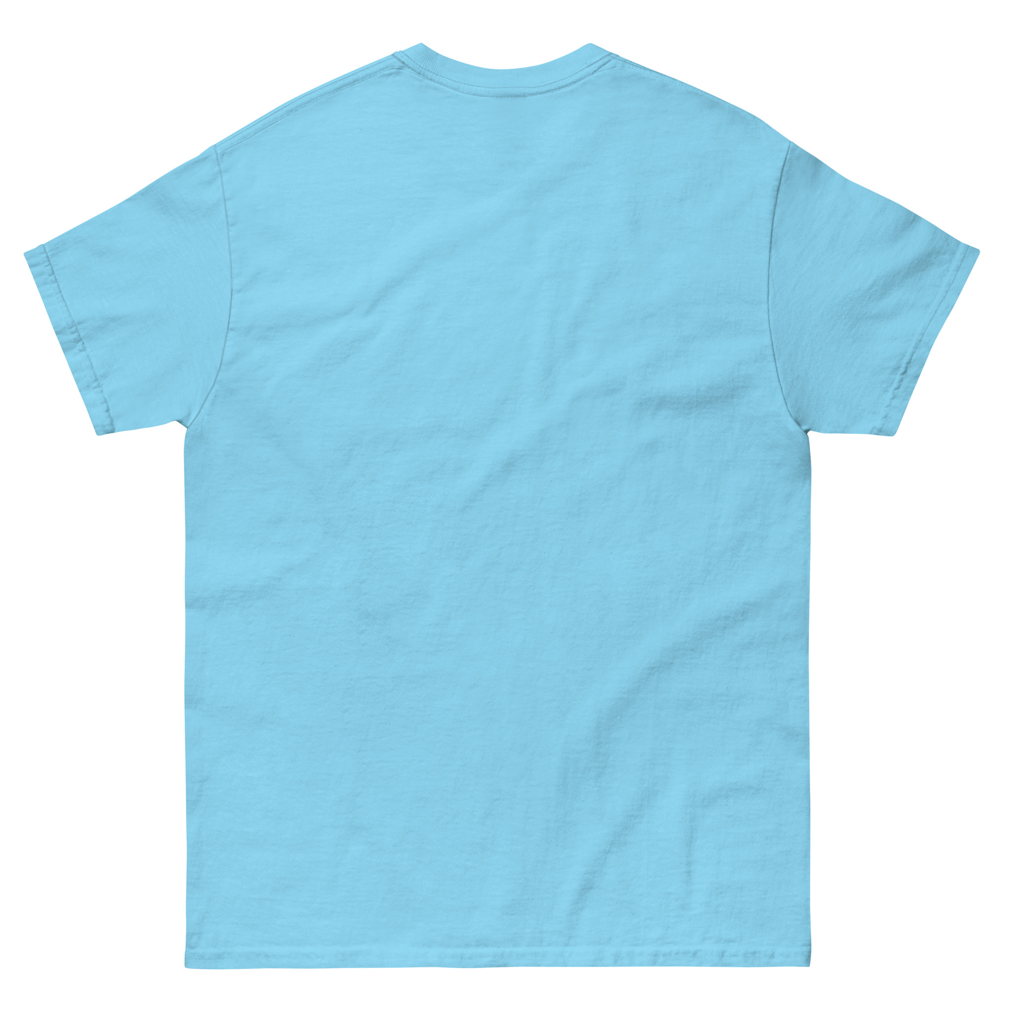 Plain light blue crewneck t-shirt back view