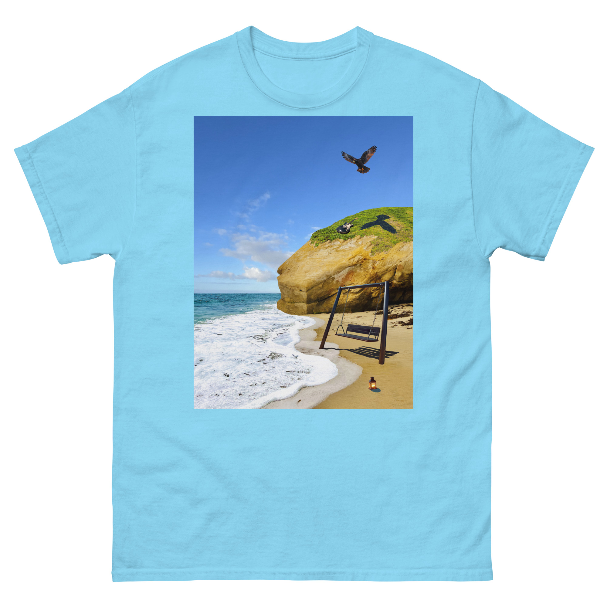 Beach with swing, cliff, ocean and seabirds