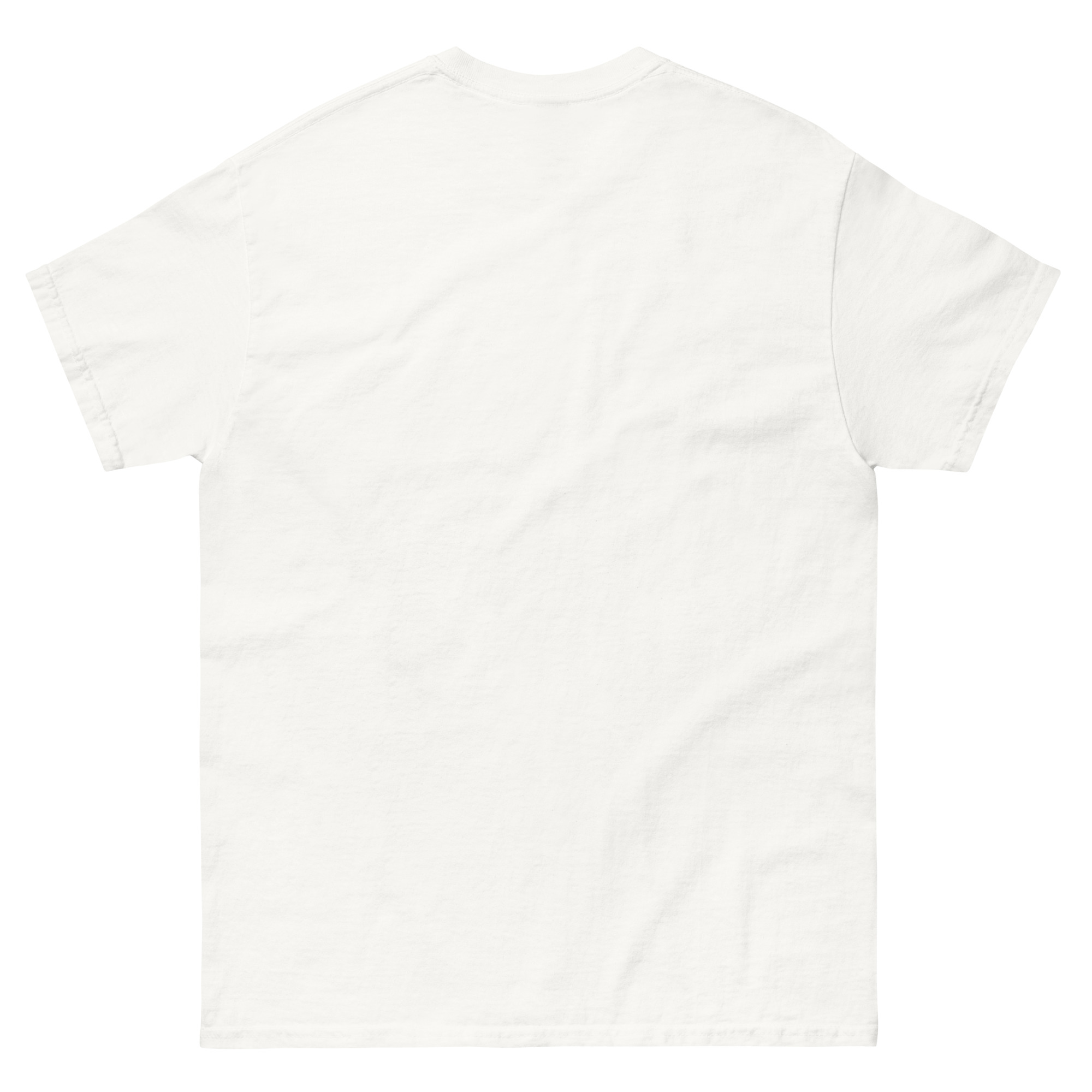 Blank white T-shirt back view